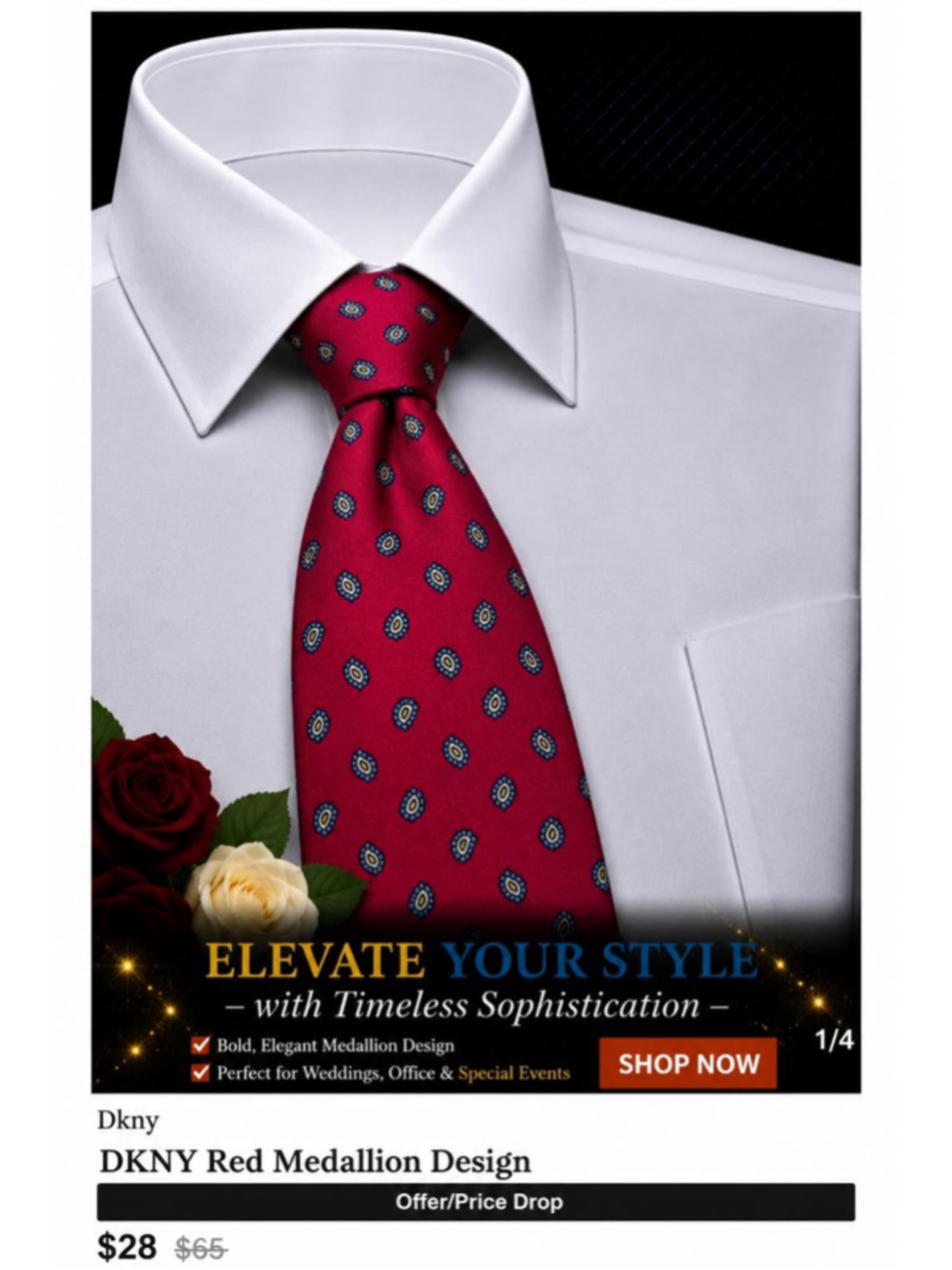 Christopher Hayes Red Blue Medallion Men's Silk Tie